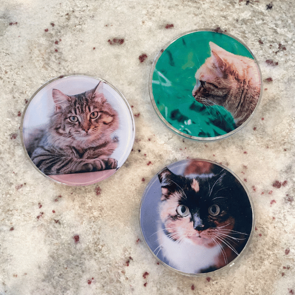 cat photo resin coasters